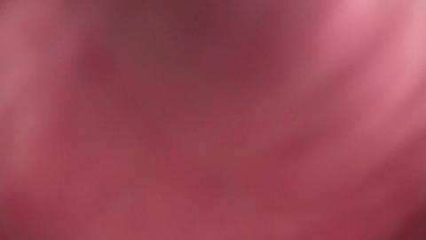12338
