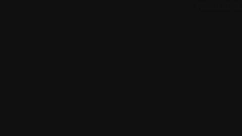 29264